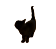 843578367