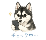 843578497