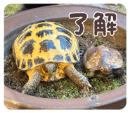 843578685