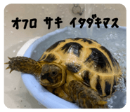 843578688