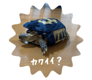 843578694