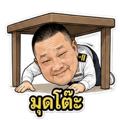 843578981