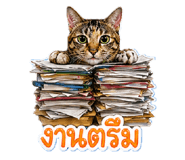 843579844