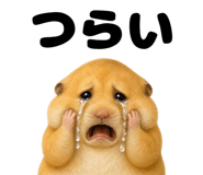 843579887