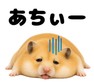 843579892