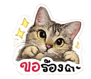 843580484