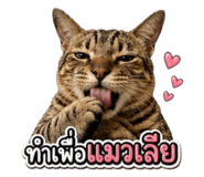 843580763