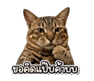 843580771