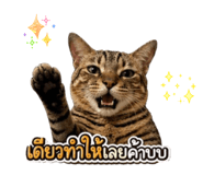 843580775