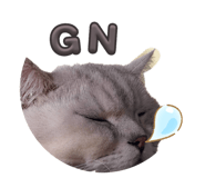 843581157