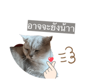 843581159