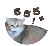 843581162