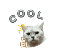 843581177