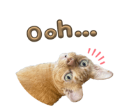 843581178
