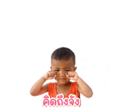 843581581