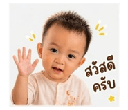 843581665