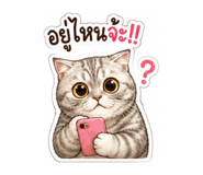 843581695