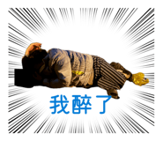 843581802