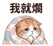 843582019