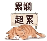 843582022