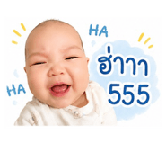 843582044