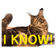 843582264