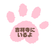 843582550