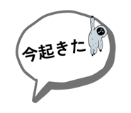 843582555