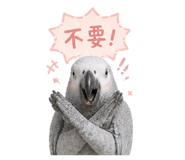 843583004