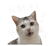 843583061
