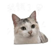 843583065