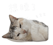 843583069