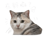 843583070