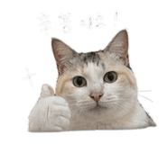 843583072