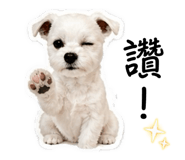 843583119