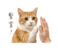 843583391