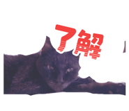 843583938