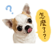 843583981