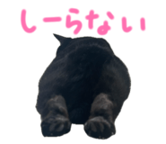 843584228