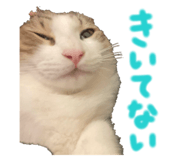 843584237