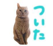 843584255