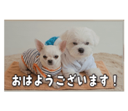 843585057