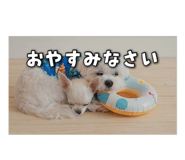 843585058