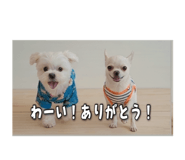 843585064