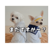 843585067