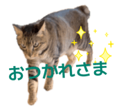 843585199