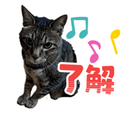 843585203