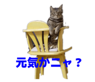 843585206