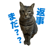 843585208