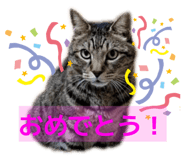 843585220